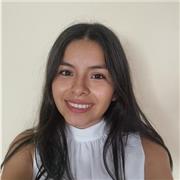 DOCENTE DE MATEMÁTICAS NIVEL PRIMARIA-SECUNDARIA